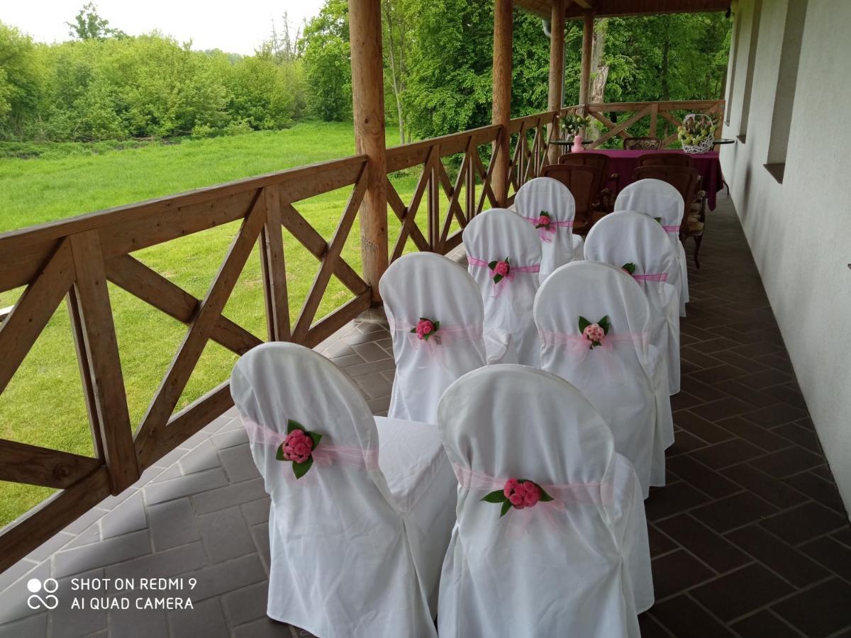 Dwor Strzyzew Bed & Breakfast Zelazowa Wola Екстериор снимка